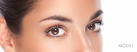 Brow Lift Model Brow Lift Model