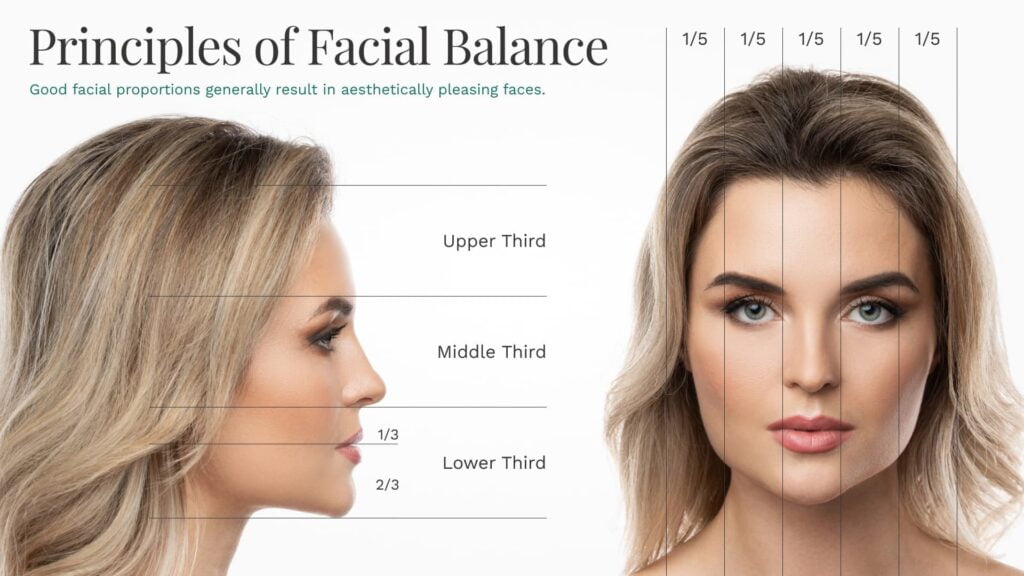 BPS Principles of Facial Balance